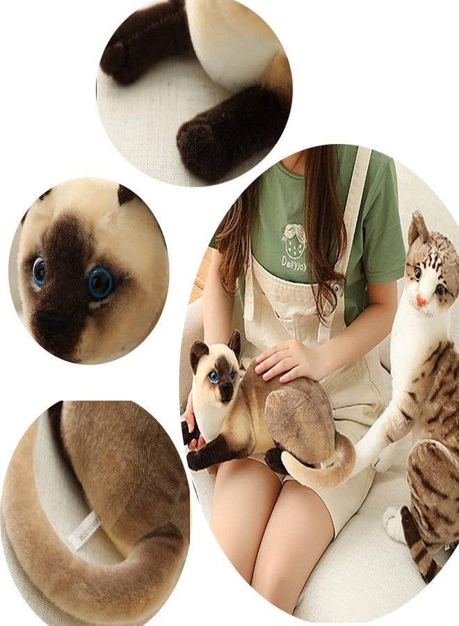 GUDVES Siamese Cat Stuffed Animal, Shorthair Cat Realistic Plush Cat Stuffed Toys, Gift for Kids 12inches (B) - Image 4